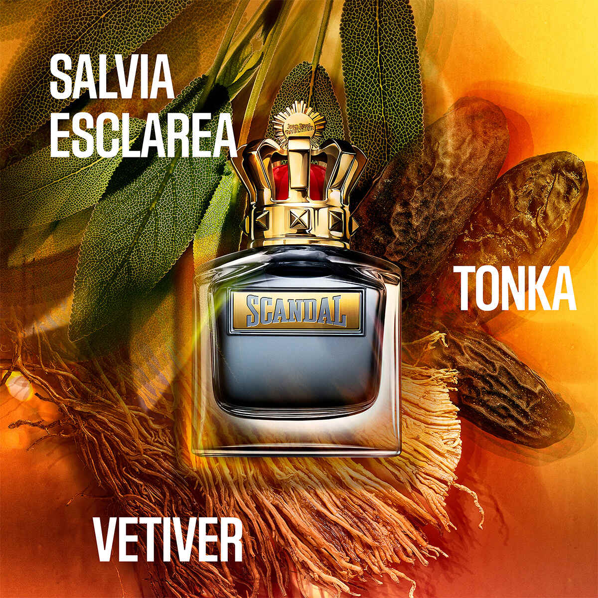 SCANDAL  SET EAU DE TOILETTE